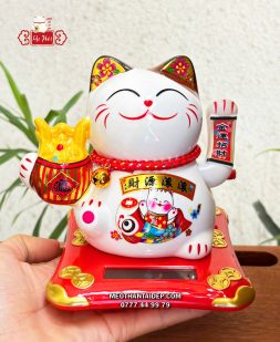 Mèo Thần Tài năng lượng hũ vàng cá chép tài nguyên cuồn cuộn