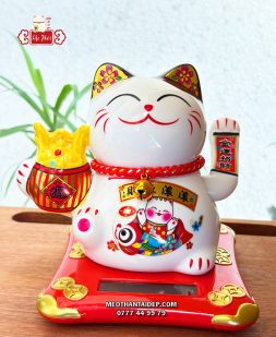 Mèo Thần Tài năng lượng hũ vàng cá chép tài nguyên cuồn cuộn