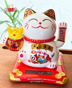 Mèo Thần Tài năng lượng hũ vàng cá chép tài nguyên cuồn cuộn